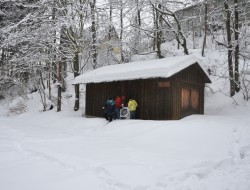 dsc_0135.jpg