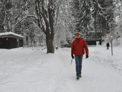 dsc_0126.jpg